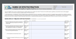 rubric complex access needs