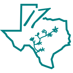 tx study logo